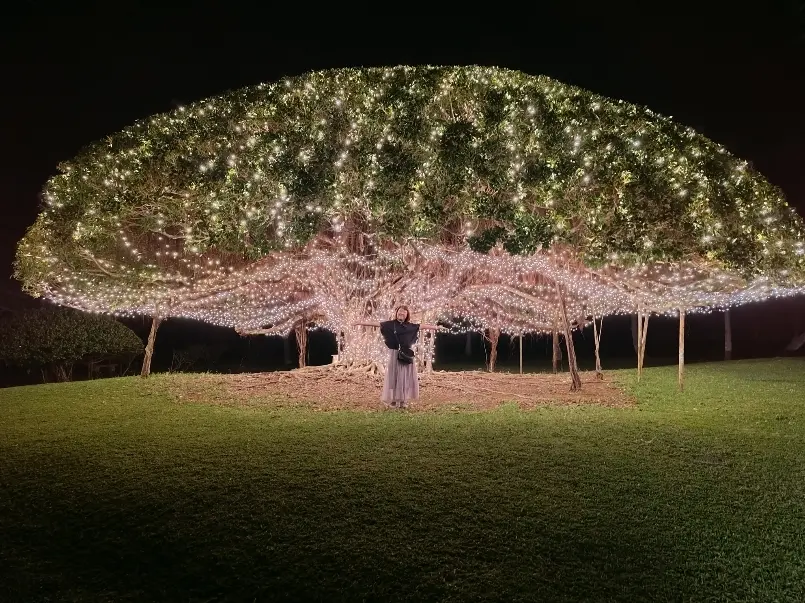 ガジュマルの木の下で