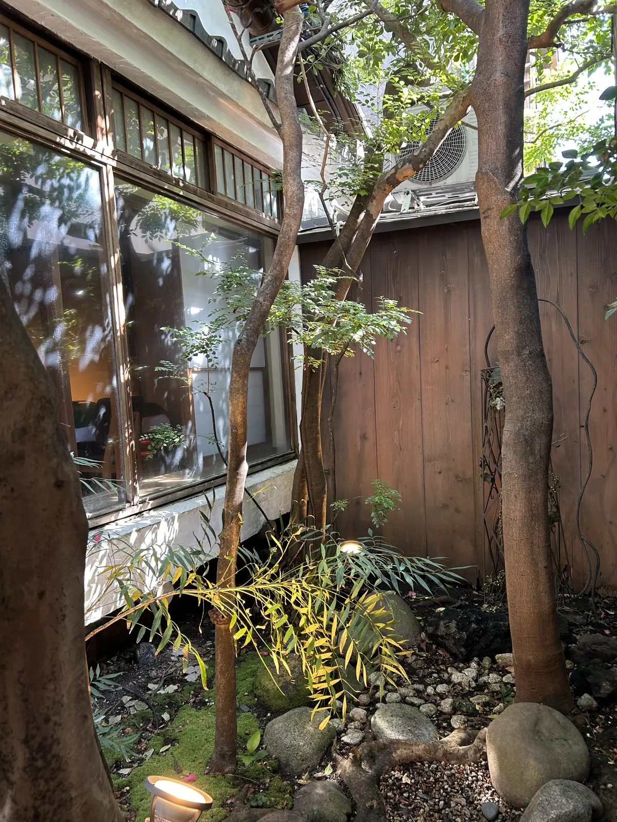 Jマダムで神楽坂フレンチランチ🎵の画像_5