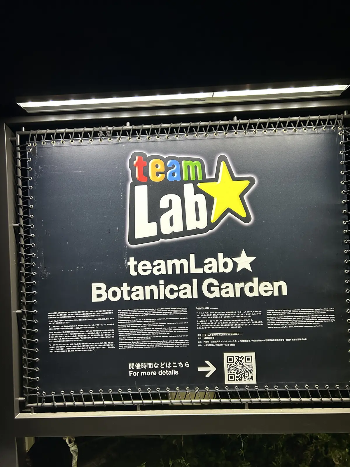 幻想的な夜✨✨　チームラボ　ボタニカルガの画像_6