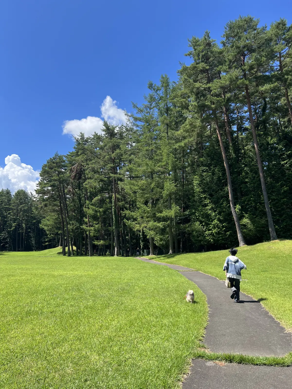 のんびりと広大な敷地のお散歩を楽しみました！