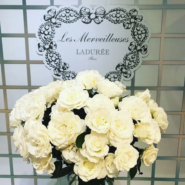 純白のバラの花びらで透明感ある肌づくりの画像_2