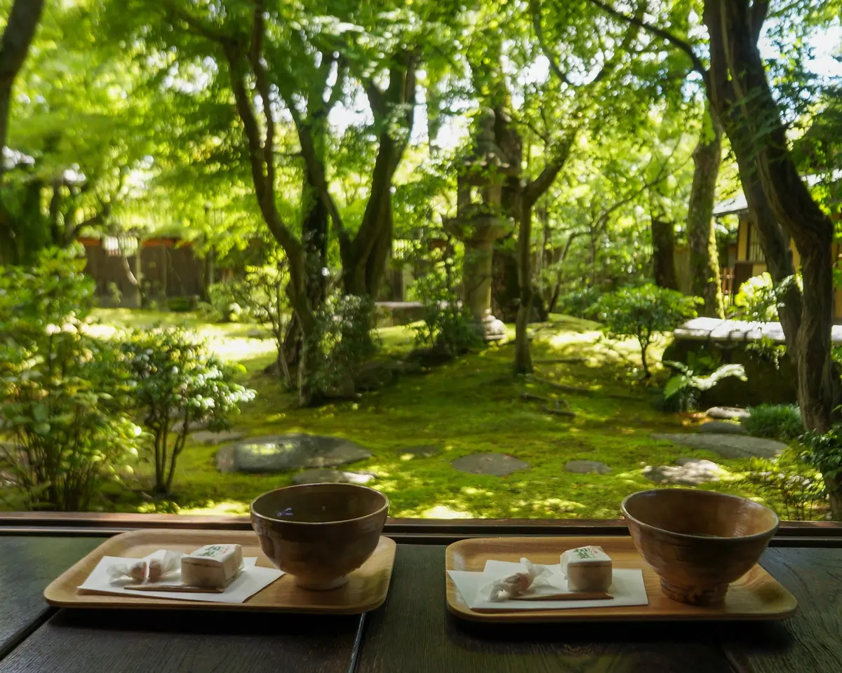 お気に入りTシャツ を着て旅への画像_3