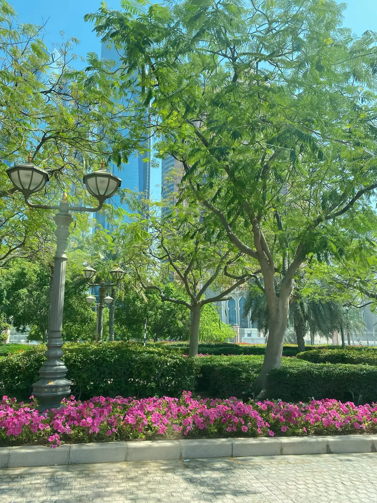 アブダビ豪華絢爛「エミレーツパレス」へ の画像_25