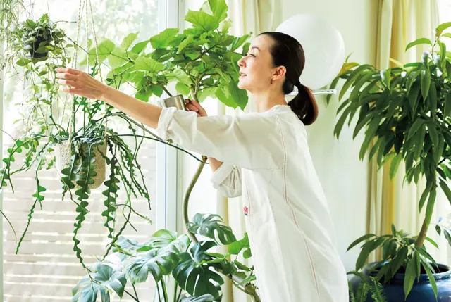 植物に触れ、手入れをしていると心が休まり、元気になれる