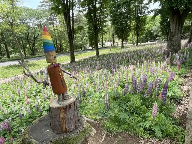 埼玉県森林公園「ルピナス畑」