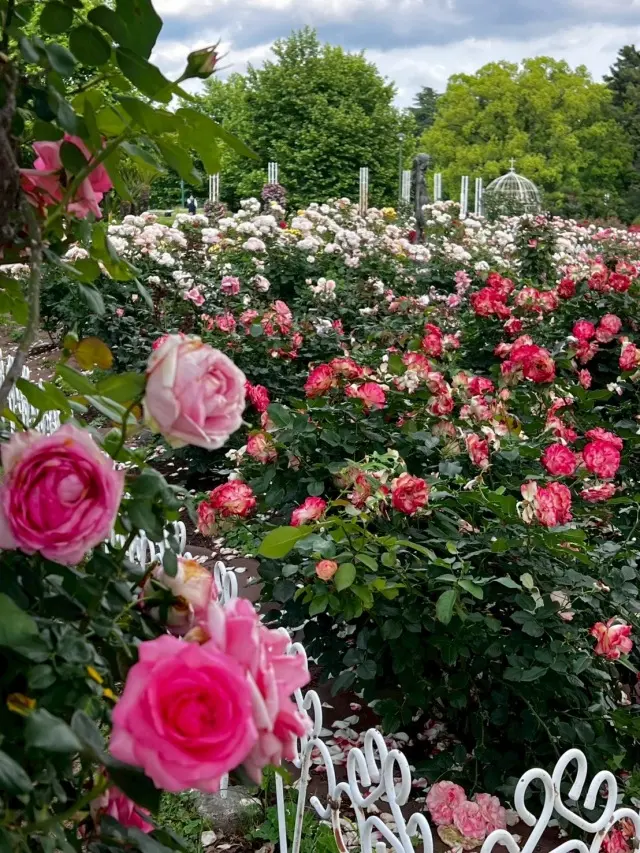 サックス侍さん　鶴舞公園公認アーティストの画像_10