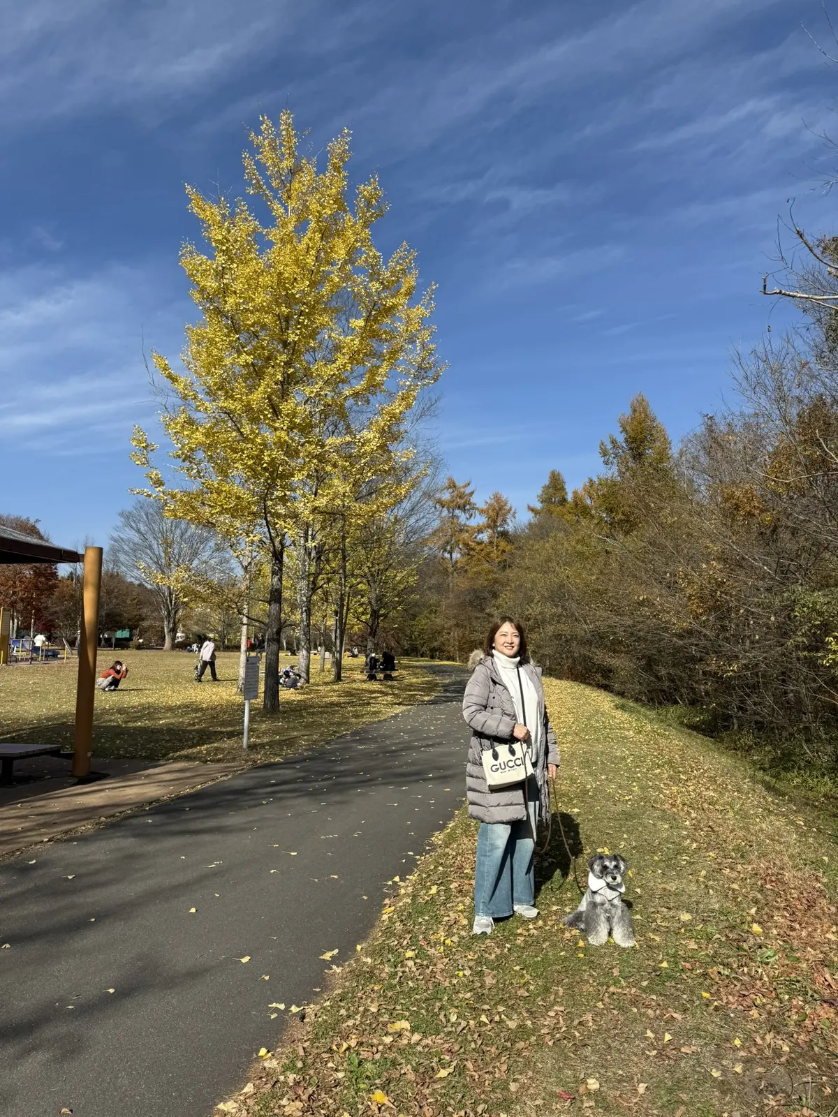 湯川ふるさと公園　紅葉　梅澤千佳子