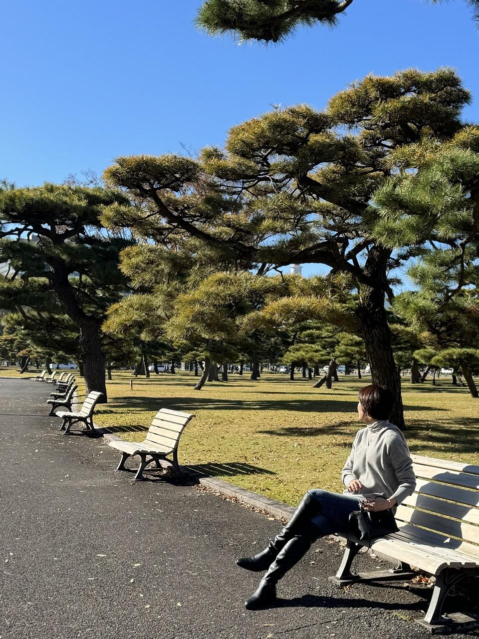 皇居周辺散歩④