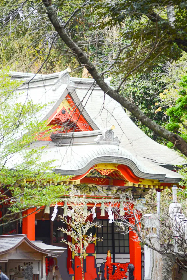 【さかぽんの冒険】new yearの過ごの画像_5