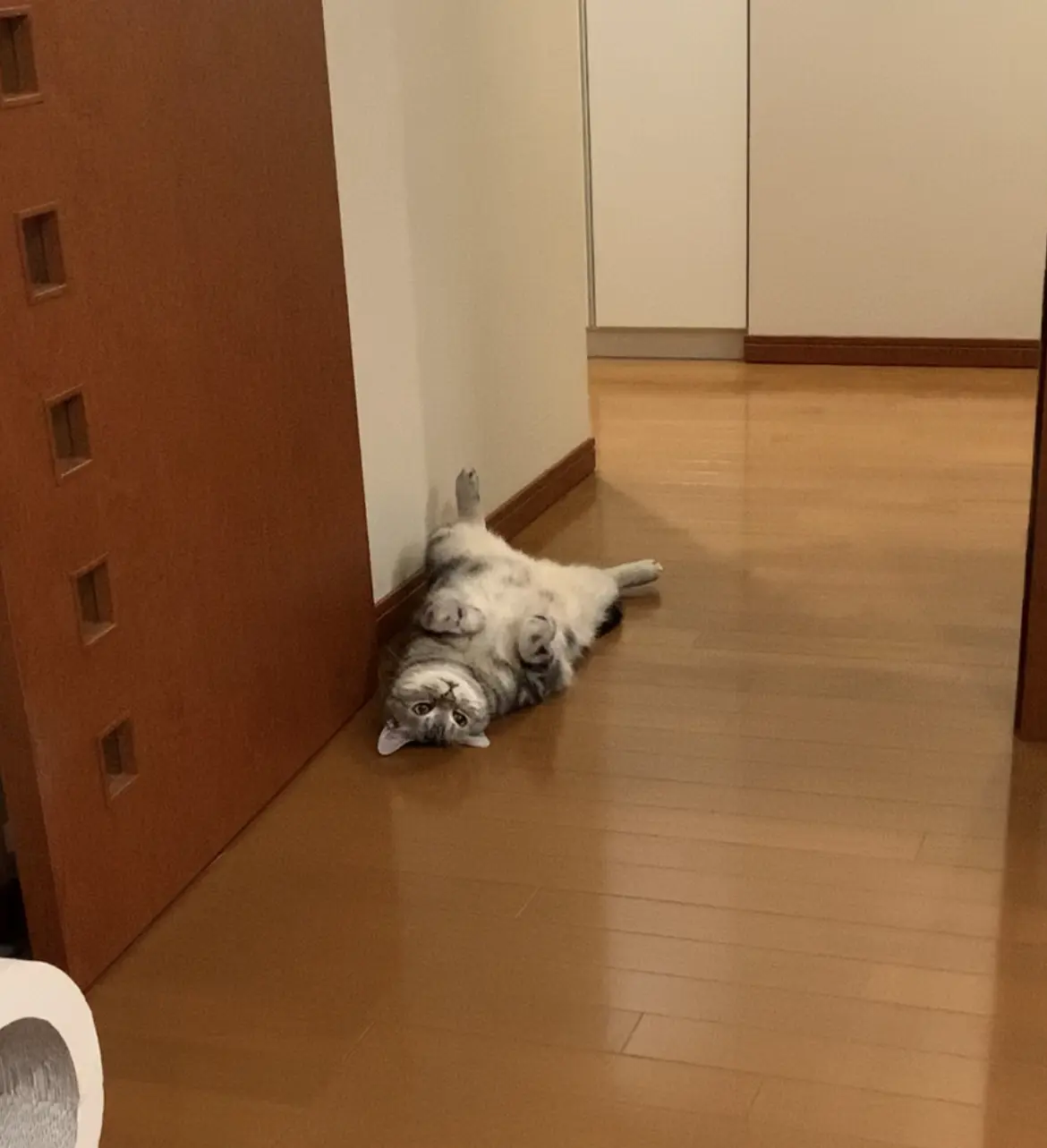 落ちてるアラン