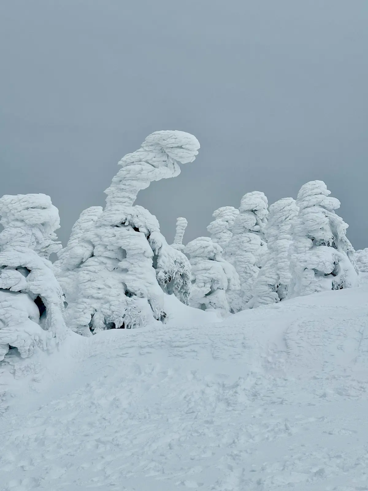 樹氷と美肌の湯を楽しむ♡山形県蔵王への旅の画像_18