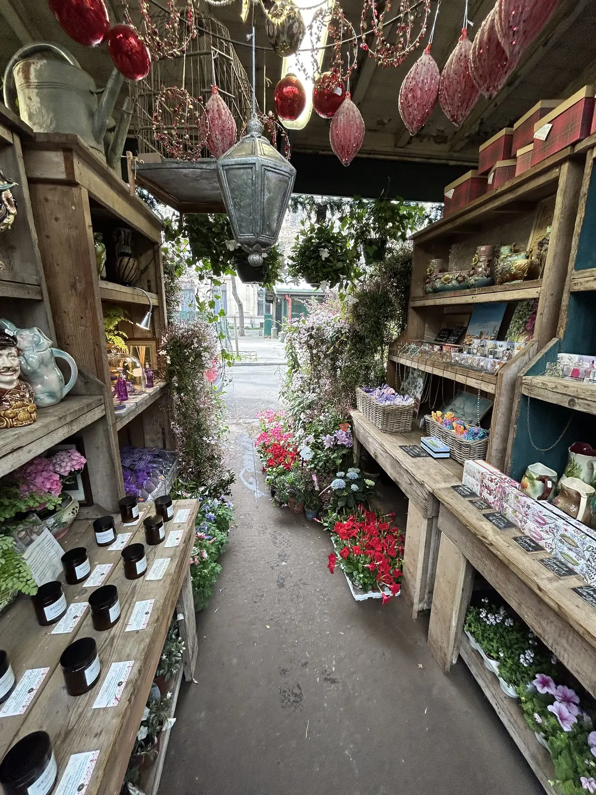 パリ　花市場　シテ島