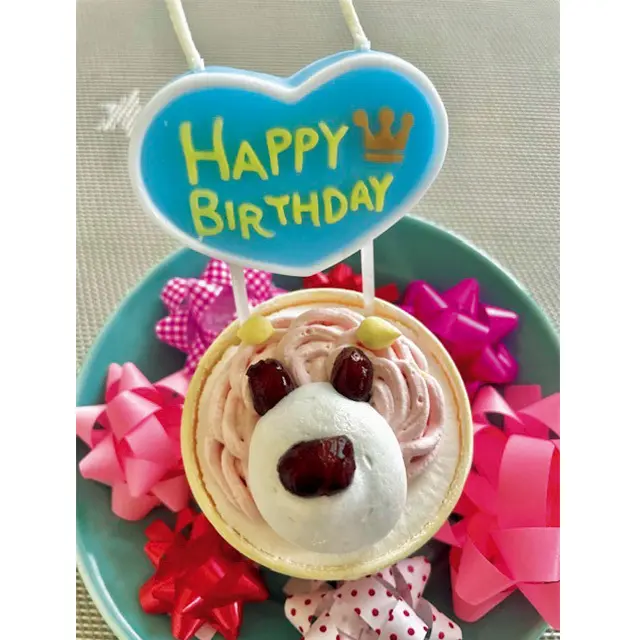 料理やグリーン、 愛犬とのひとときなど 日常の癒しを投稿