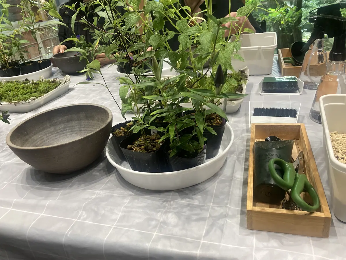 庭の匠にご指導いただく寄せ植えワークショの画像_2