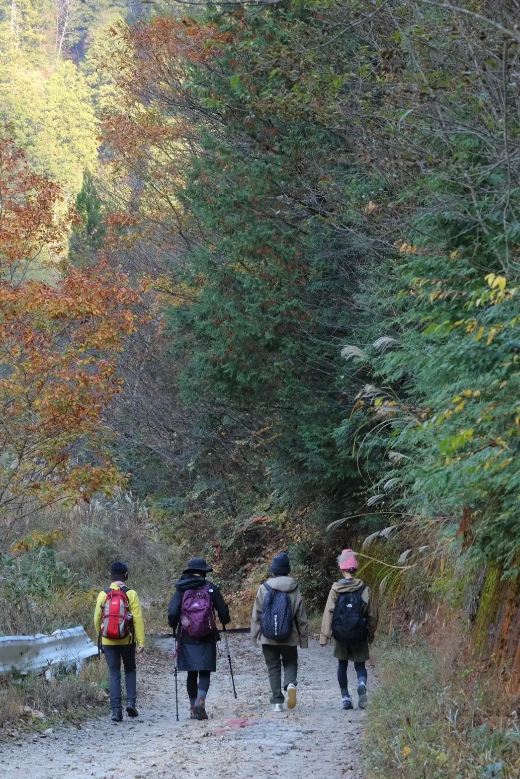 初めての登山。トレッキングを初体験してきの画像_4