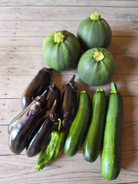 最近のお野菜たちの画像_4