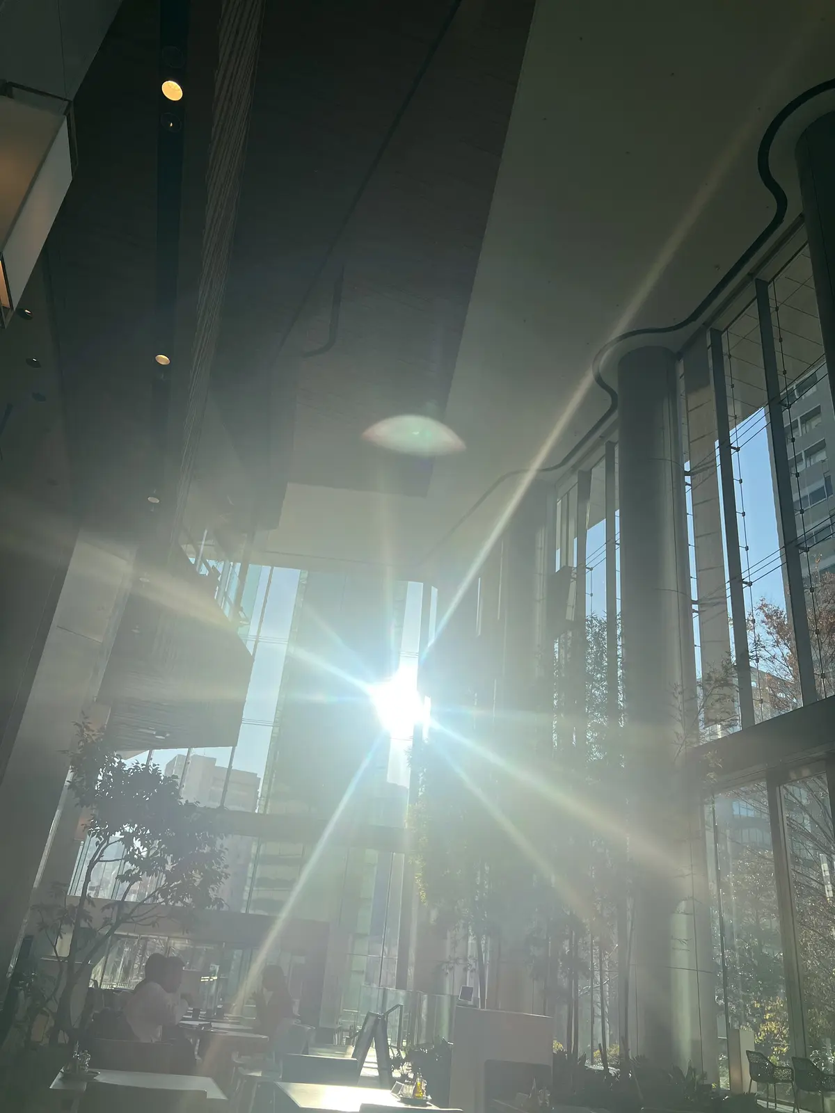 GUスウェットで年末リラクシーコーデ♪の画像_6