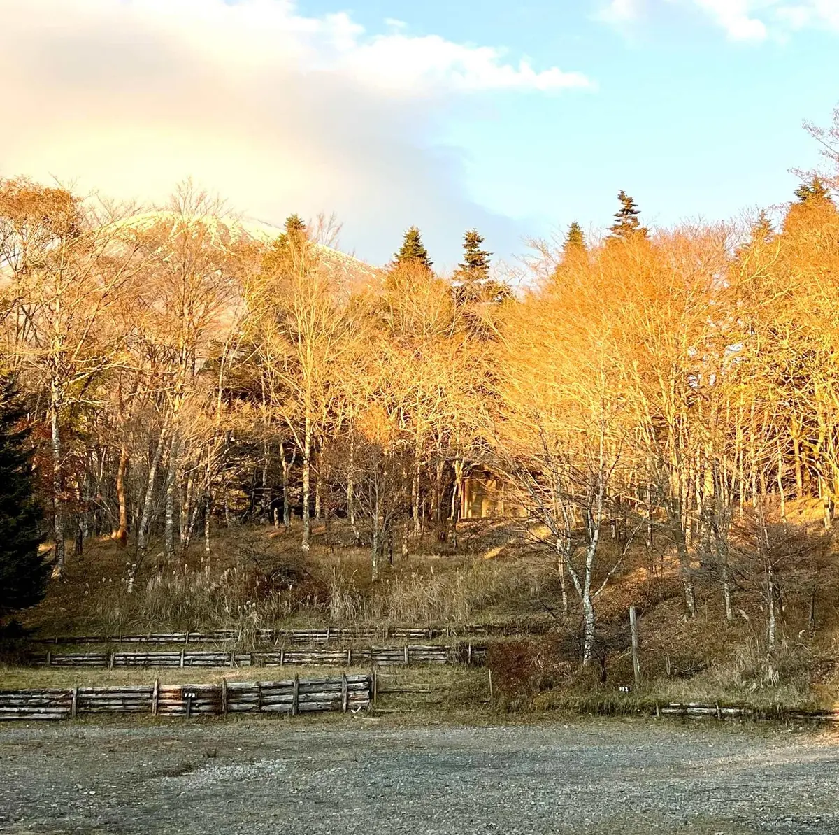 キャンプ場「PICA表富士」キャンプサイト