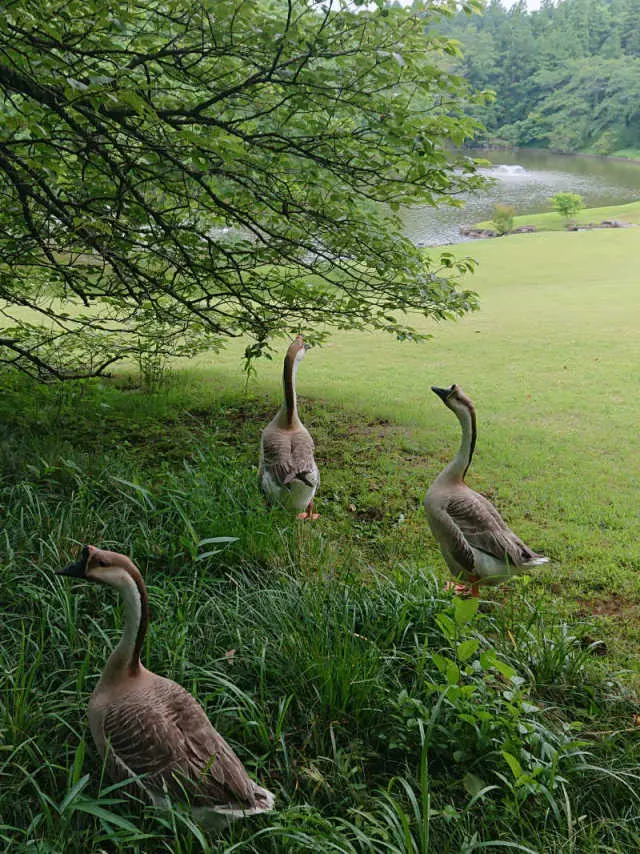 モノトーンコーデでバースデーランチの画像_13