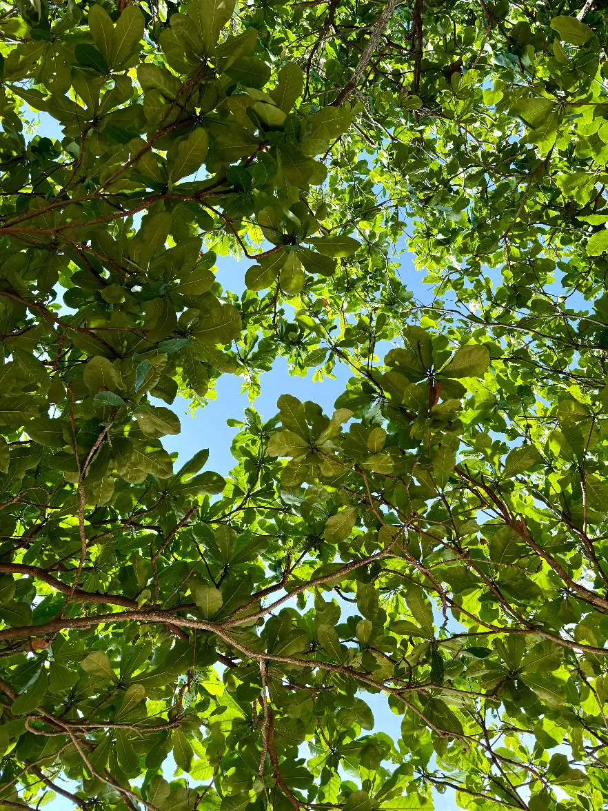 バリ島　サヌール　50代夫婦旅行　BALI 　プラマサヌールビーチホテル　PRAMA SANUR BEACH BALI　プライベートビーチ　