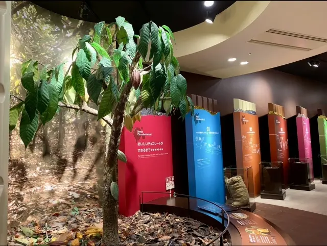 7月夏の北海道の旅、最終章✨ユニクロ×Zの画像_10