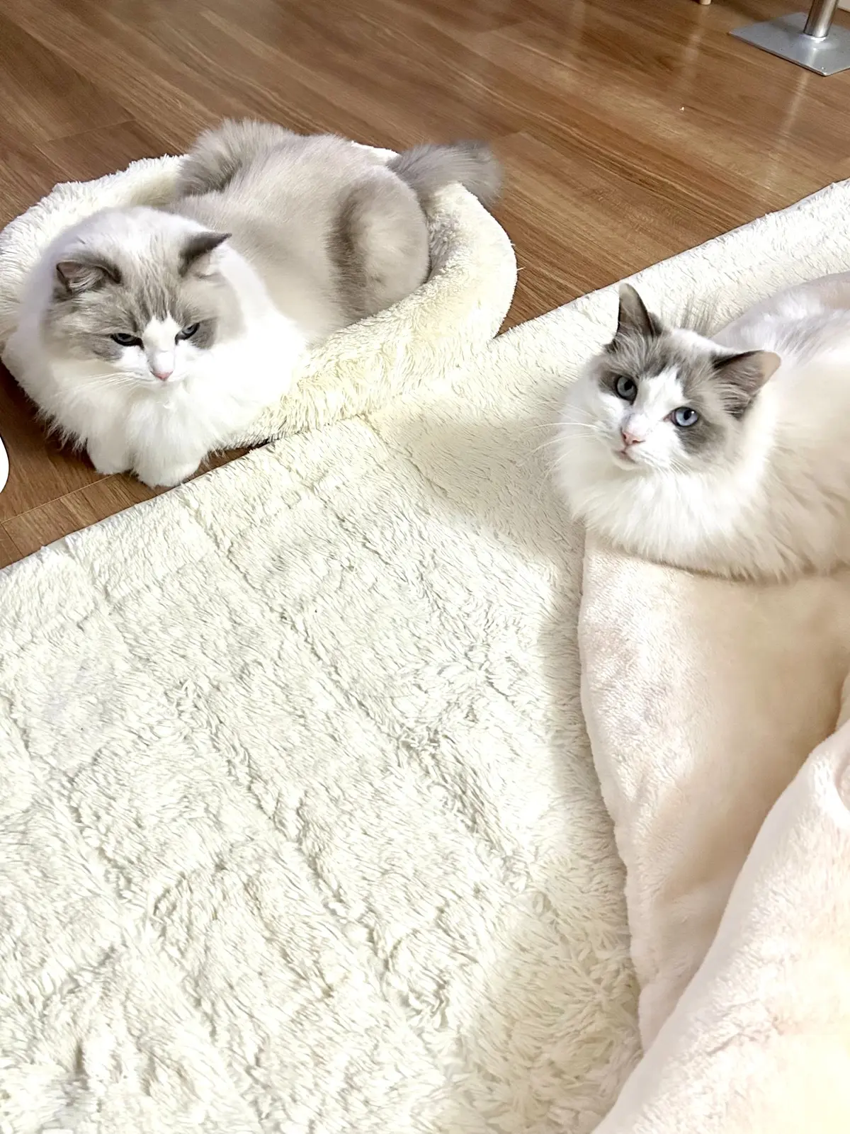 下の子?と上の子?