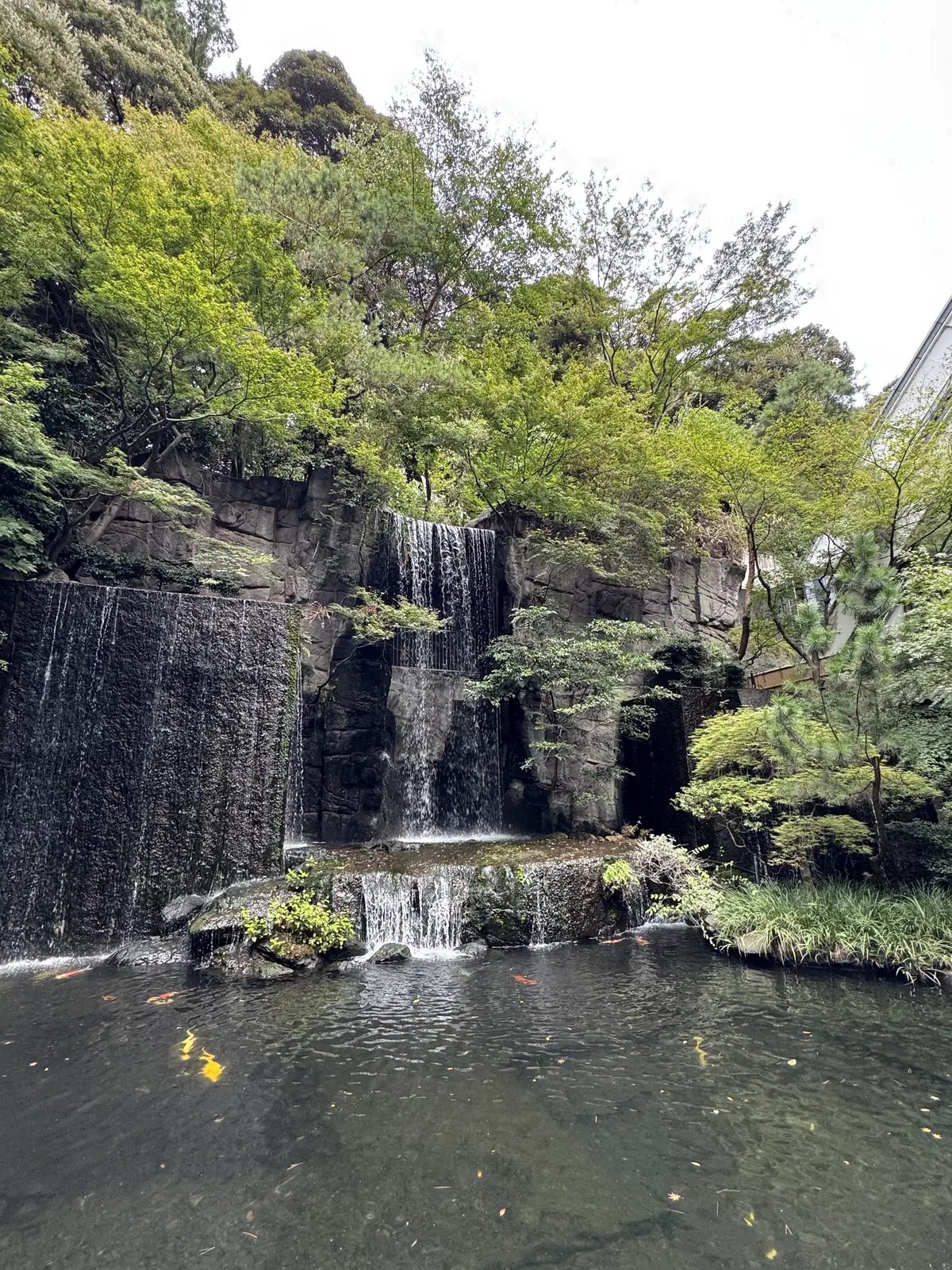 時代を超える目黒雅叙園 休館前に――心にの画像_8