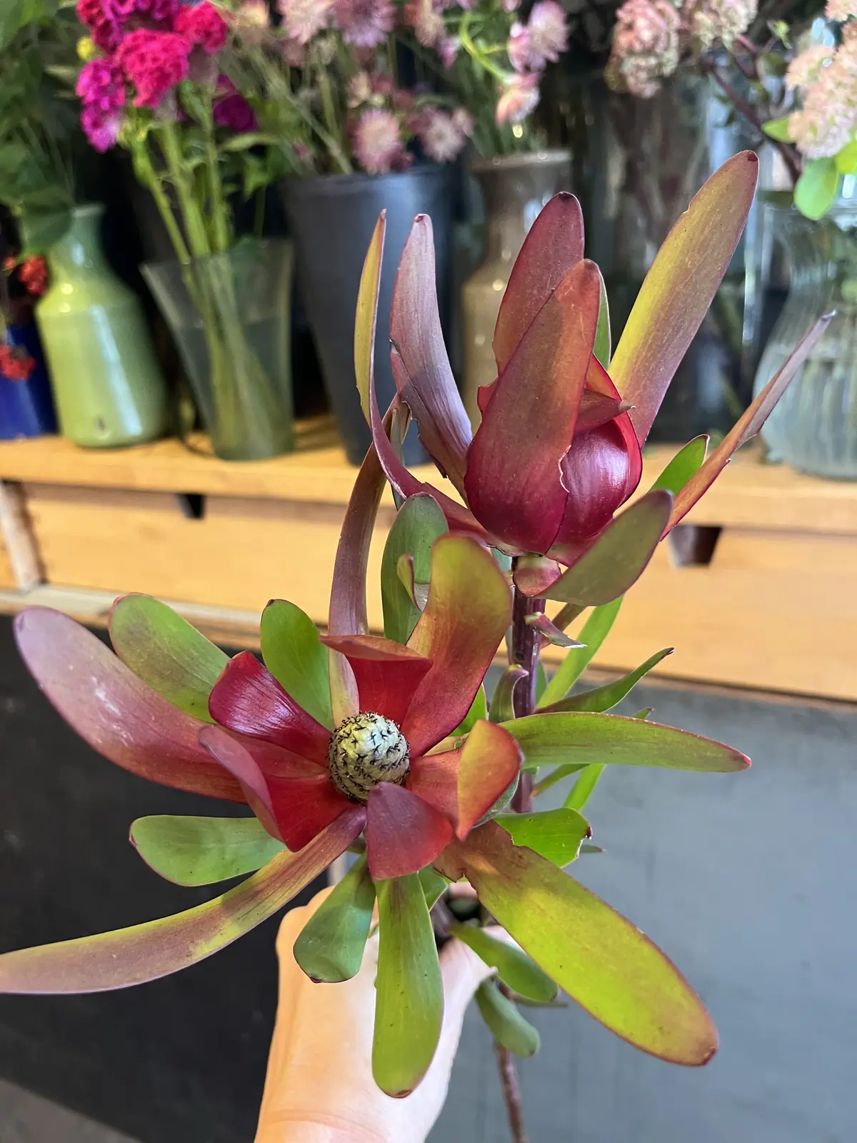 最後にトロピカル感あるブーケをの画像_9