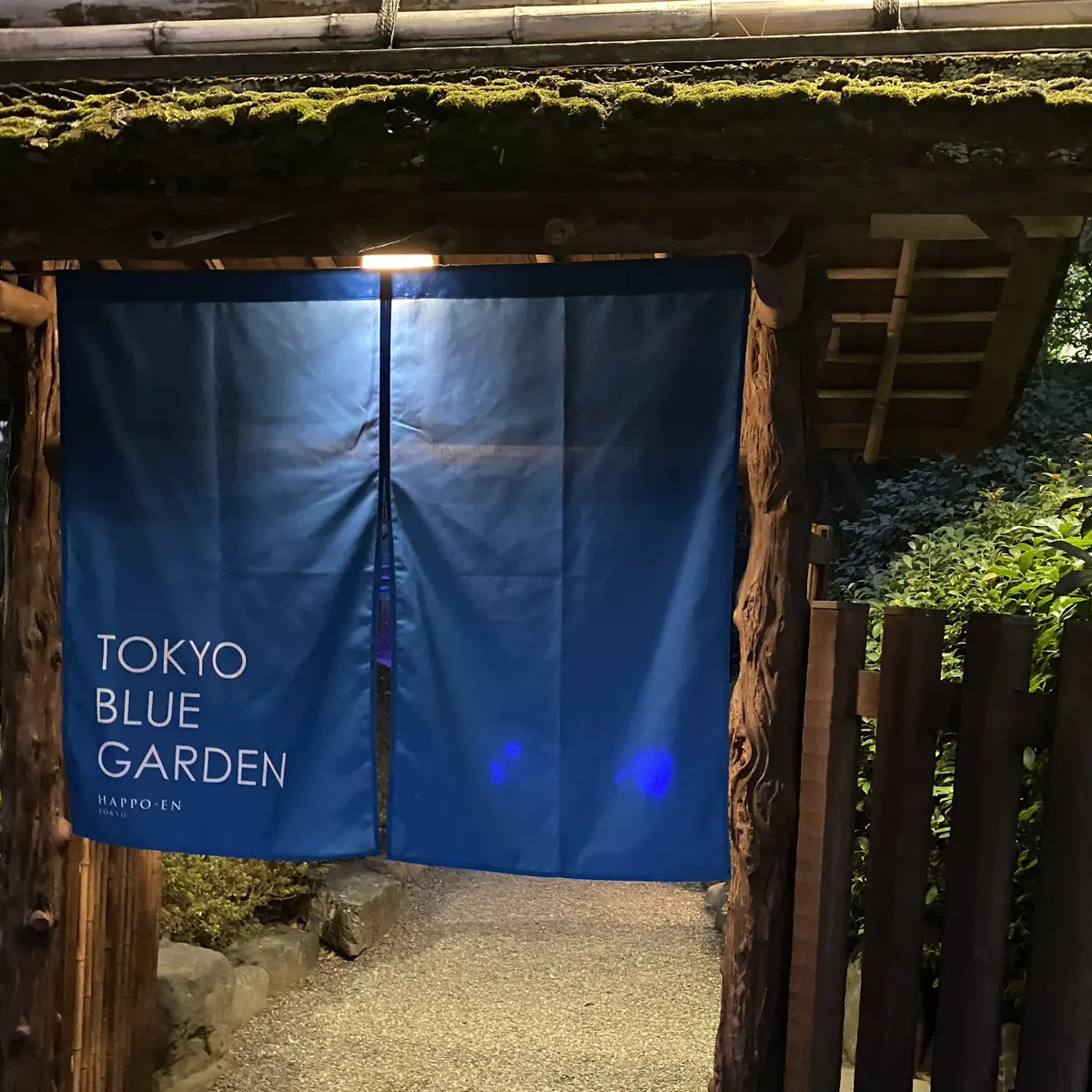 日本庭園がBLUEの世界に！の画像_2