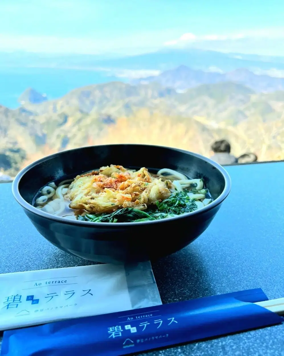 桜エビのかき揚げうどん