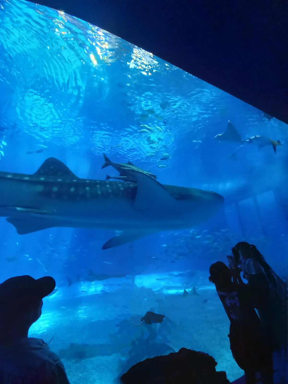 【沖縄】大人の修学旅行♡王道スポット＆沖の画像_17