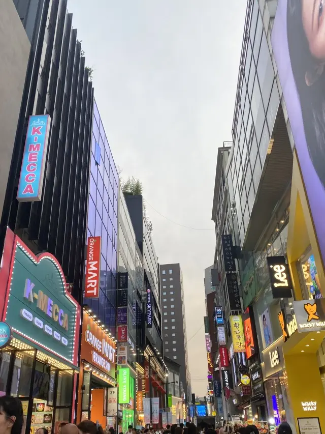 渡韓！美食とショッピングの旅の画像_15