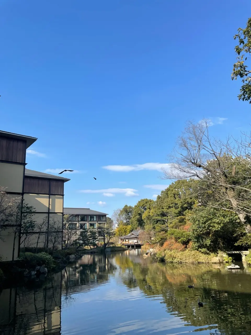 年越しはフォーシーズンホテル京都への画像_3