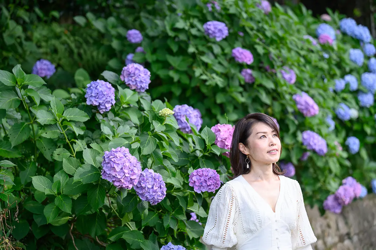 アジサイをバックに見上げるシーン