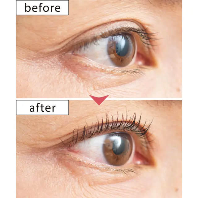 大人のまつ毛