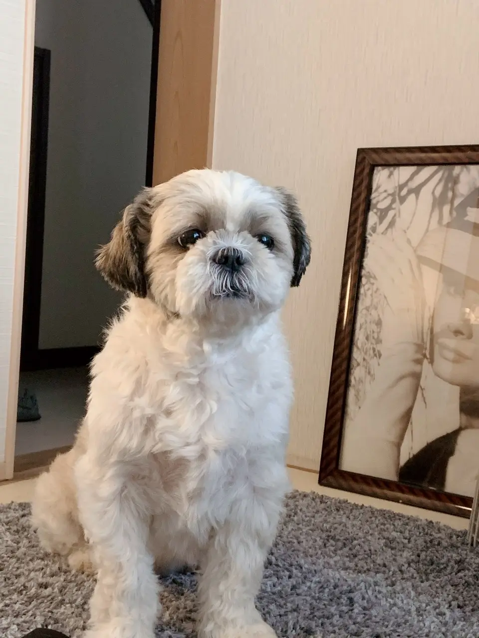 マイルーム♬の画像_2