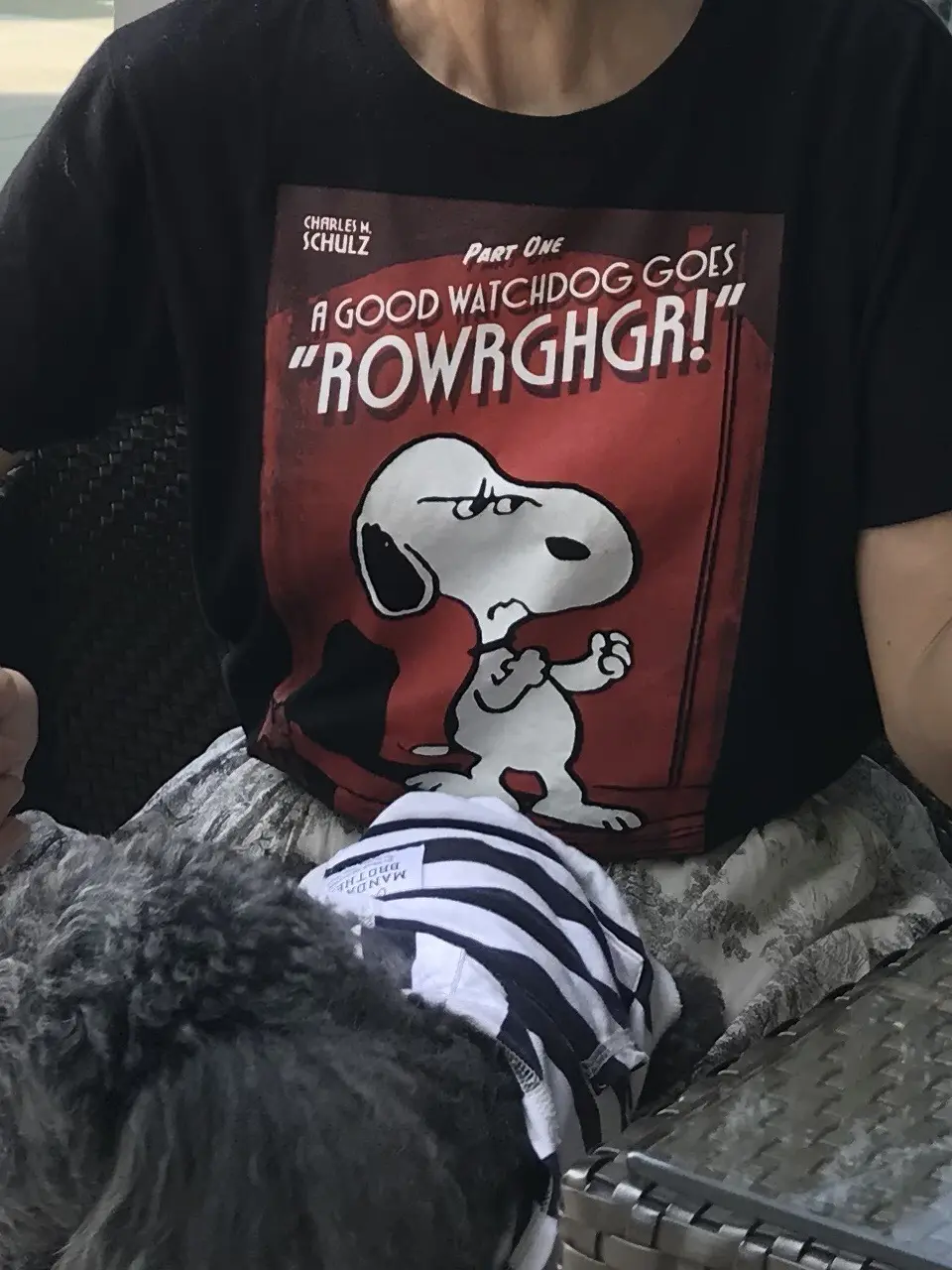 ユニクロのグラフィックTシャツが