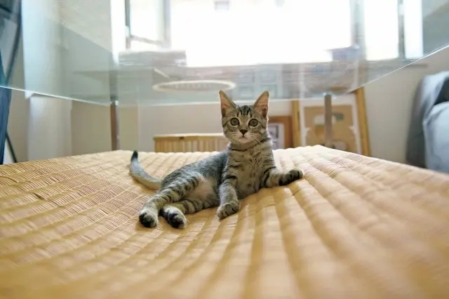 E＆Yの名作テーブル「ハンモック」でくつろぐ