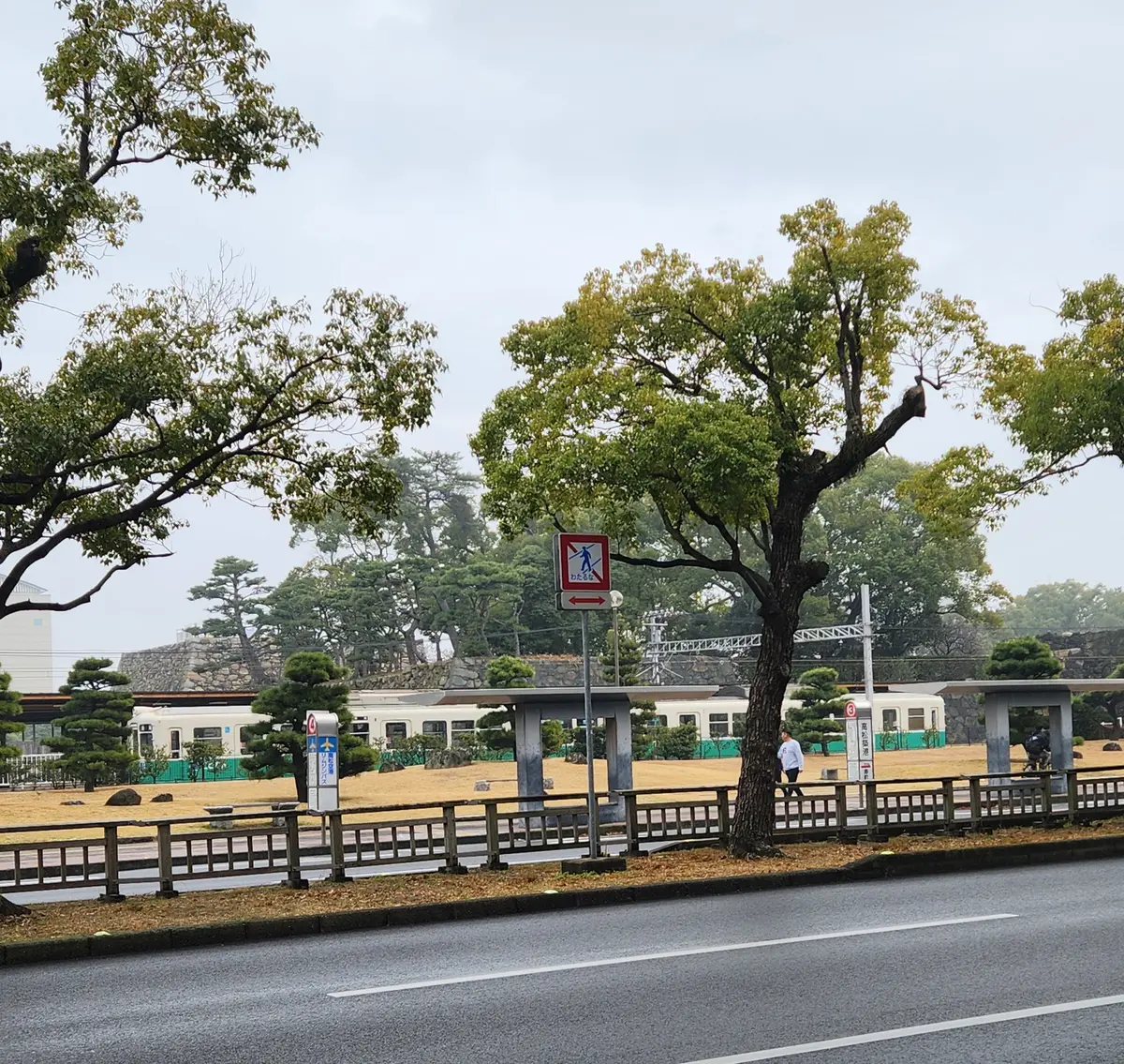 サザンを追いかけ香川まで！の画像_2