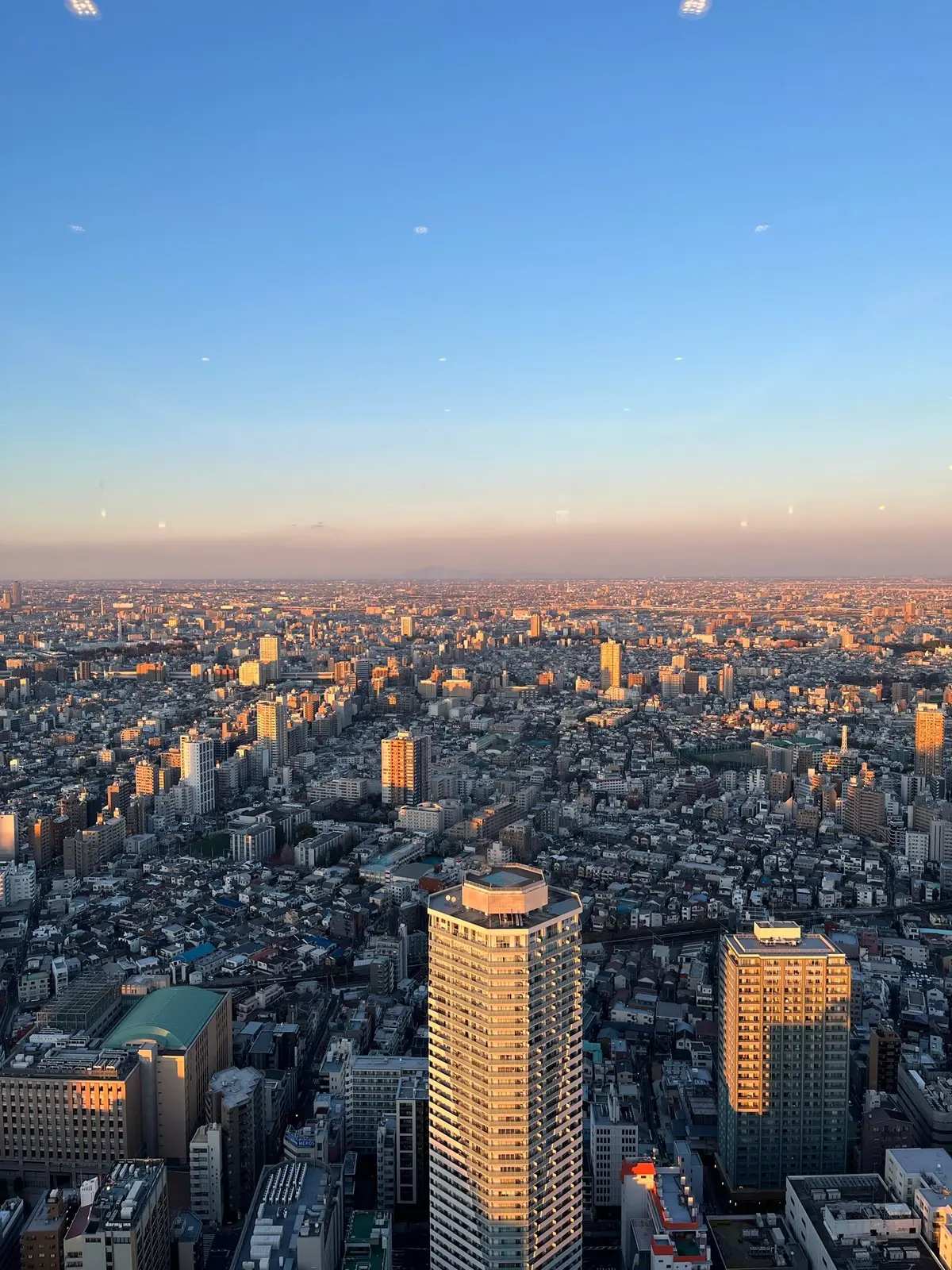 池袋　アフタヌーンティー　中村仲蔵  藤原竜也　市原隼人　浅香航大　歌舞伎王国 下剋上異聞　池袋　 ストロベリーアフタヌーンティー　サンシャイン60 Ginger’s Beach Sunshine