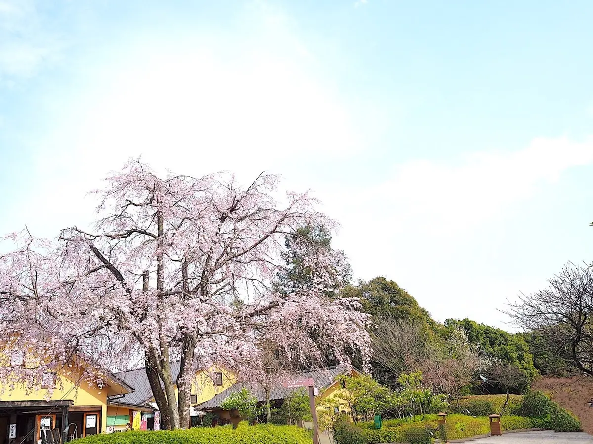 「なばなの里」ナガシマリゾート