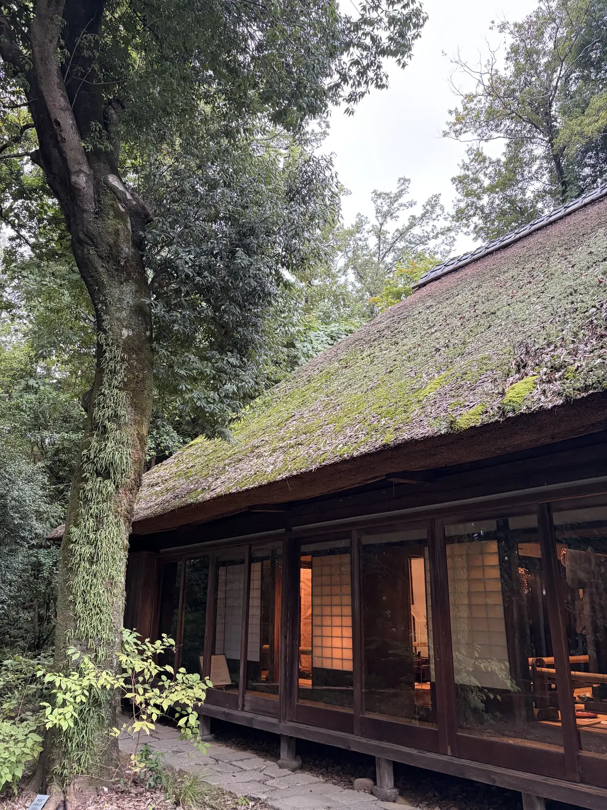 今では珍しい茅葺き屋根の家