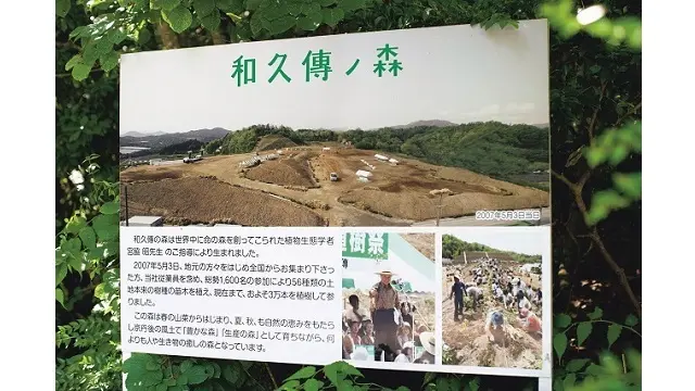 植樹を始めたのは’07年。全国から参加者を募り、1600人で30000本の苗木を植えた