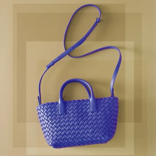 ボッテガ・ヴェネタのミニカバ