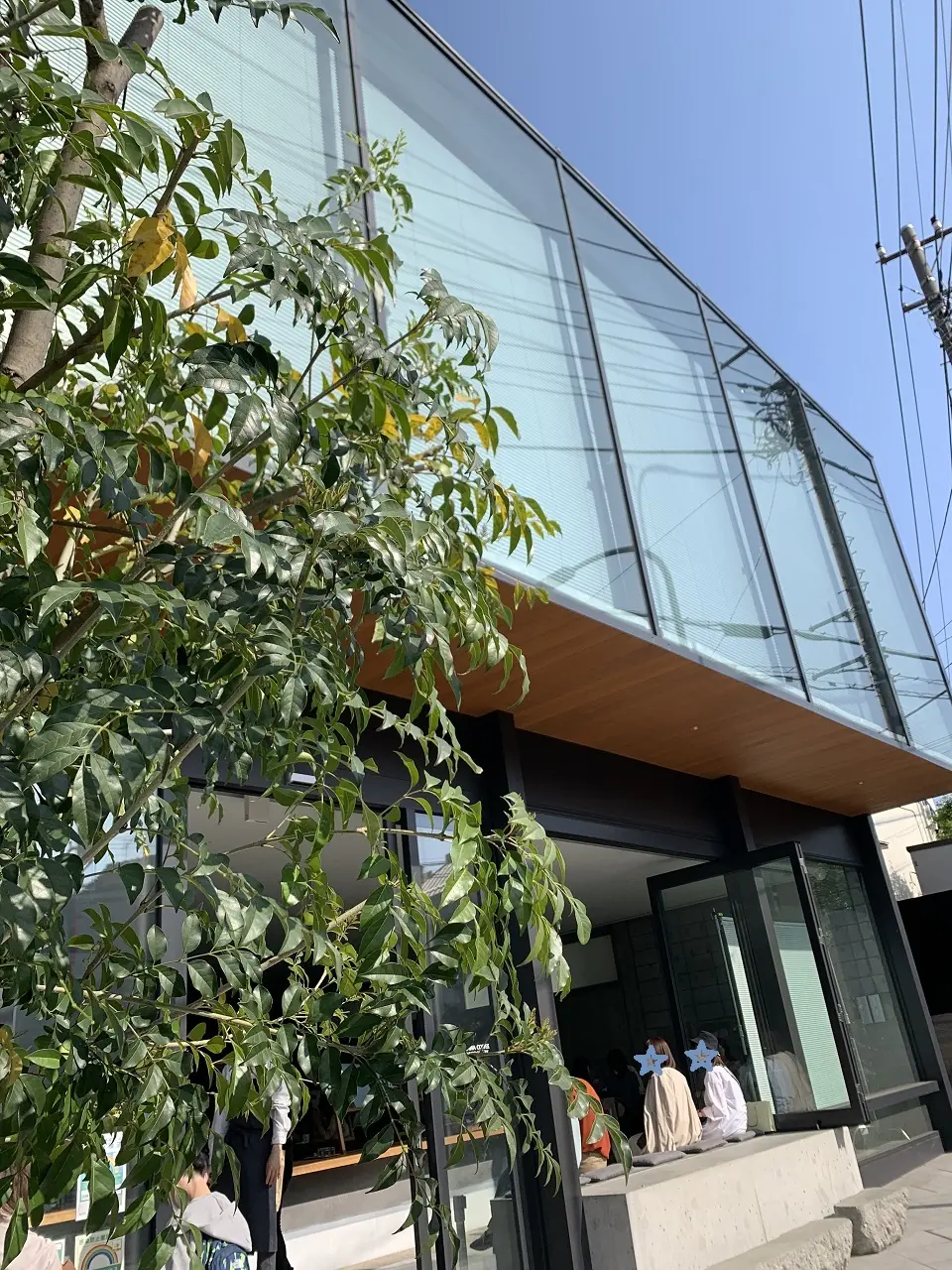 2年ぶりの東京、桜ツアー　１日目の画像_4