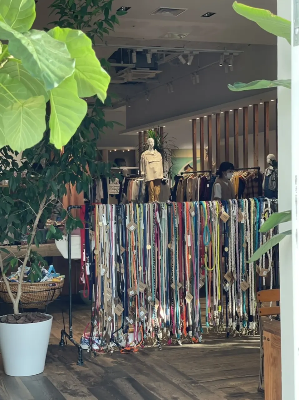 ビビッと一目惚れスニーカーの画像_4