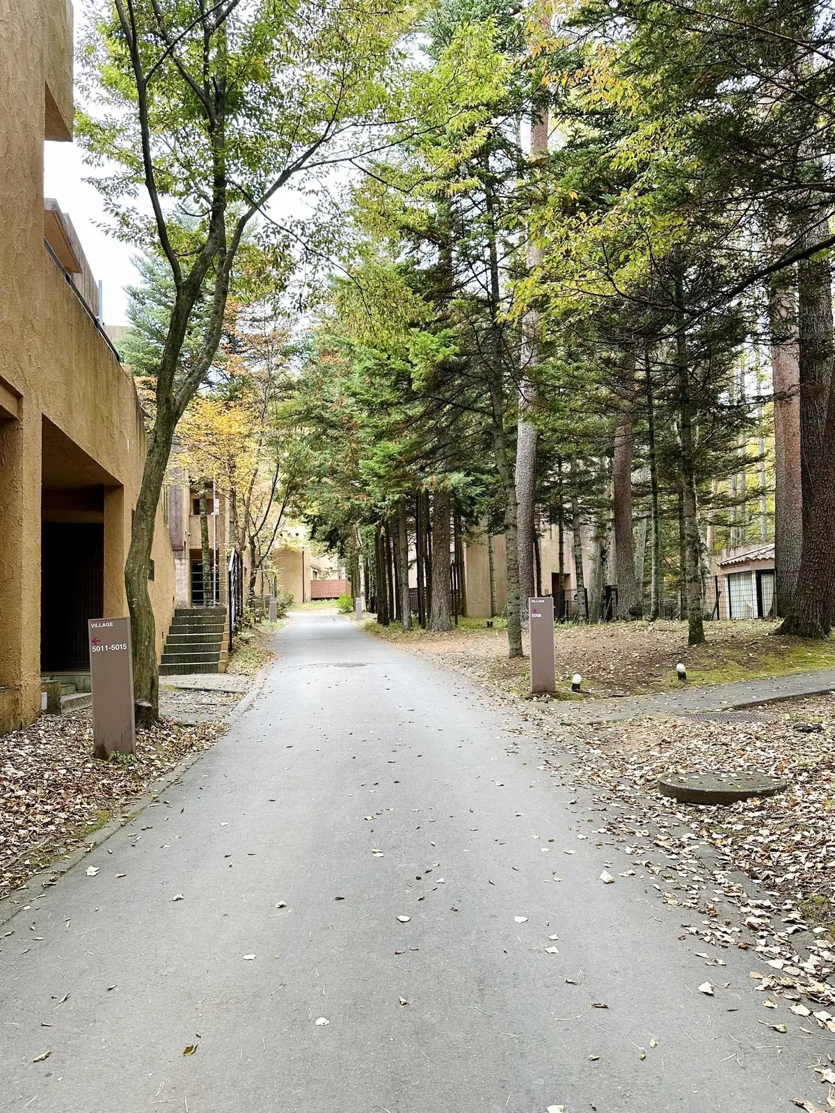 静かな時間と秋の景色を楽しむ河口湖の旅の画像_7