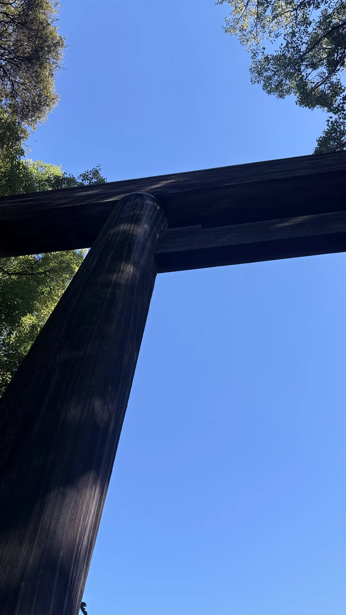 日帰り女子旅in名古屋の画像_9