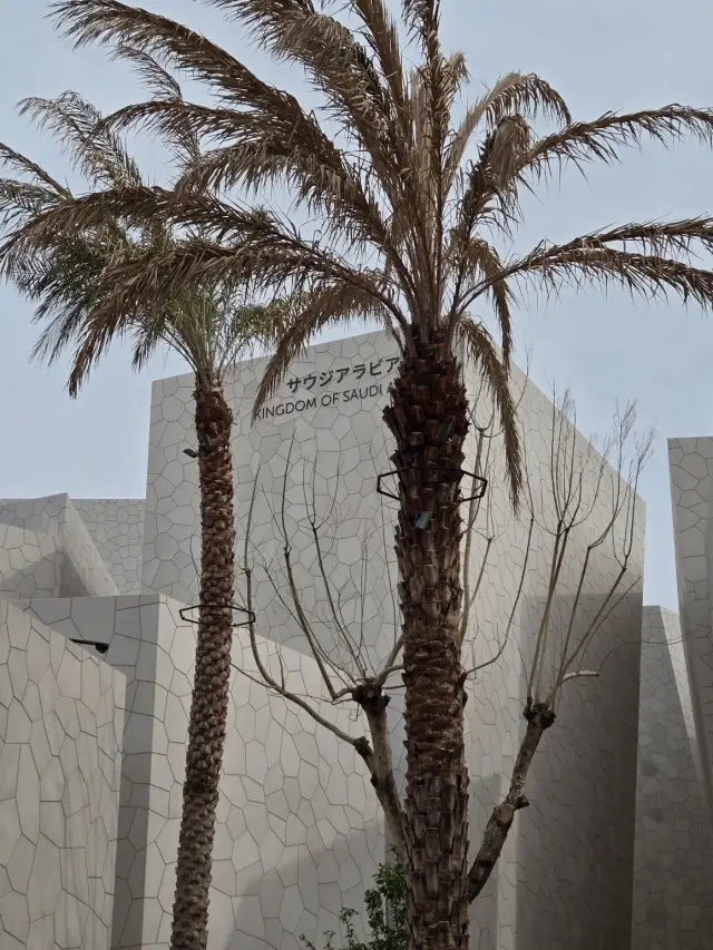 やっぱり行き当たりばったり?な大阪・関西の画像_25