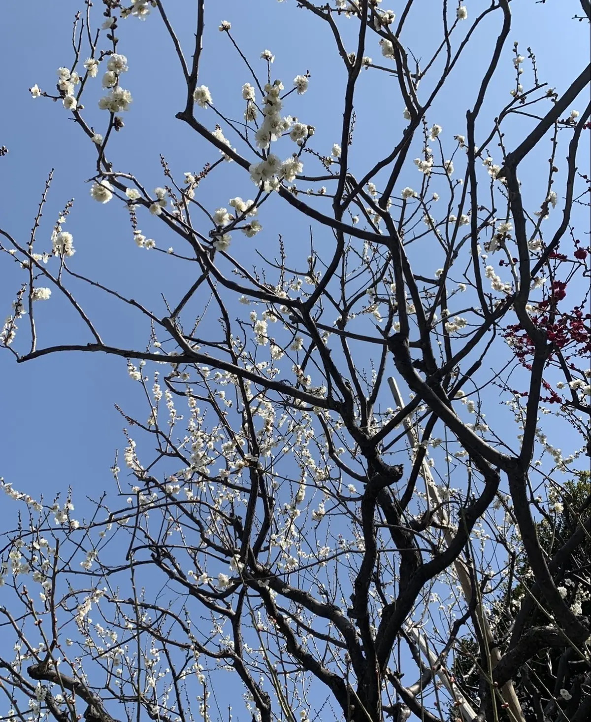 はじめましての画像_1